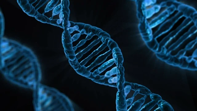 探討亨斯邁Suprasec 2082的環(huán)境友好性與低氣味特性